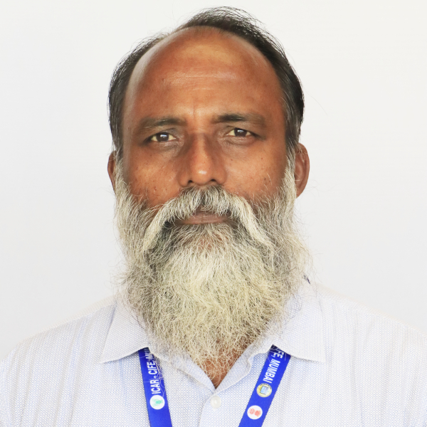 Mr. Mahesh B. Waghela Mr. Mahesh B. Waghela